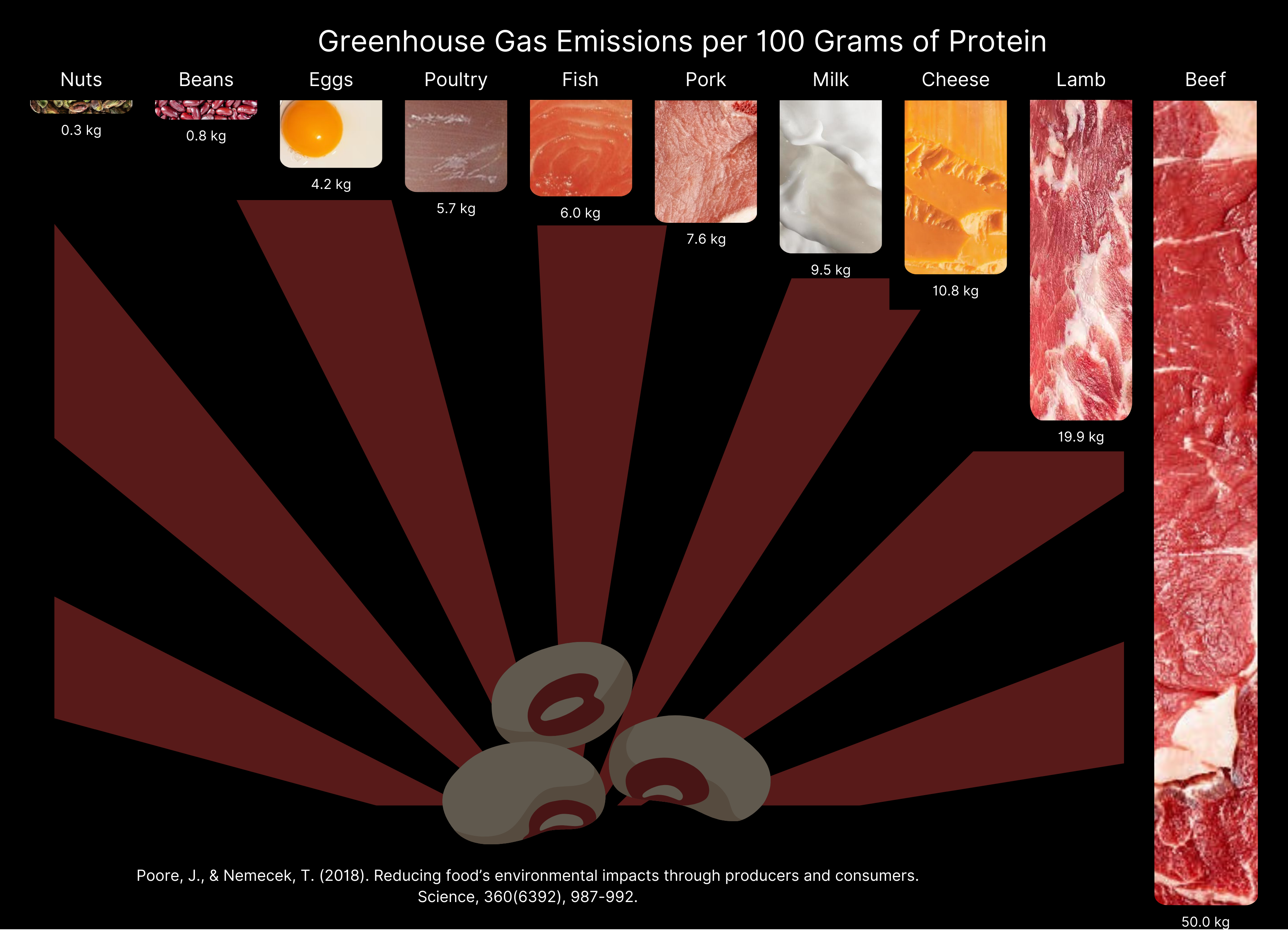 A vertical bar chart where each bar is filled in with its respective protein shows the greenhouse gas emissions relative to the protein produced of a variety of meat products along with nuts and beans.